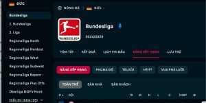 Giới thiệu thông tin cơ bản về BXH Bundesliga chuyên nghiệp