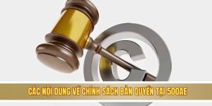 Các nội dung về chính sách bản quyền tại 500AE