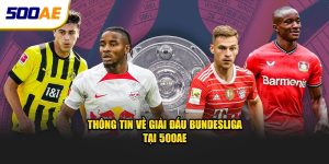 Thông tin giới thiệu giải đấu Bundesliga