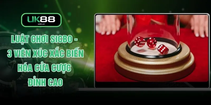 Luật Chơi Sicbo - 3 Viên Xúc Xắc Biến Hóa Cửa Cược Đỉnh Cao 1 Luật Chơi Sicbo - 3 Viên Xúc Xắc Biến Hóa Cửa Cược Đỉnh Cao